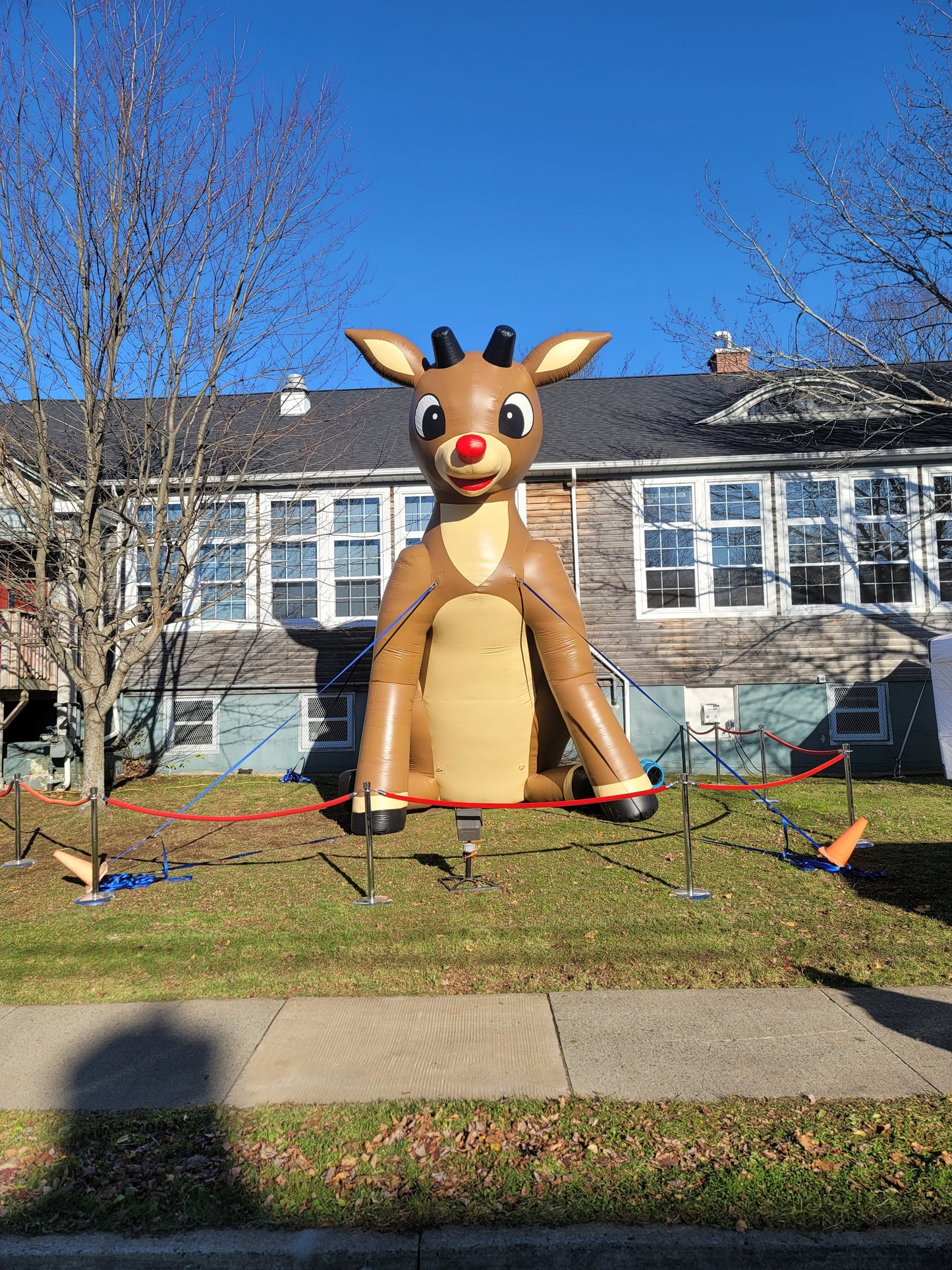 Cartoon Reindeer Inflatable