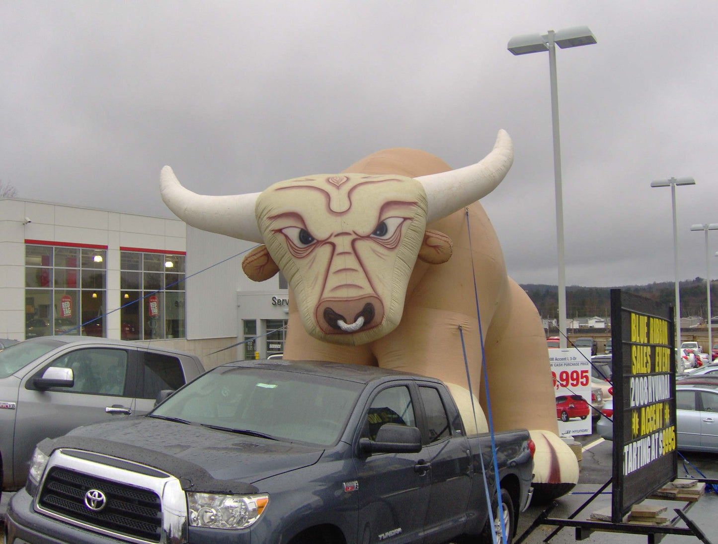 Cartoon Bull Inflatable