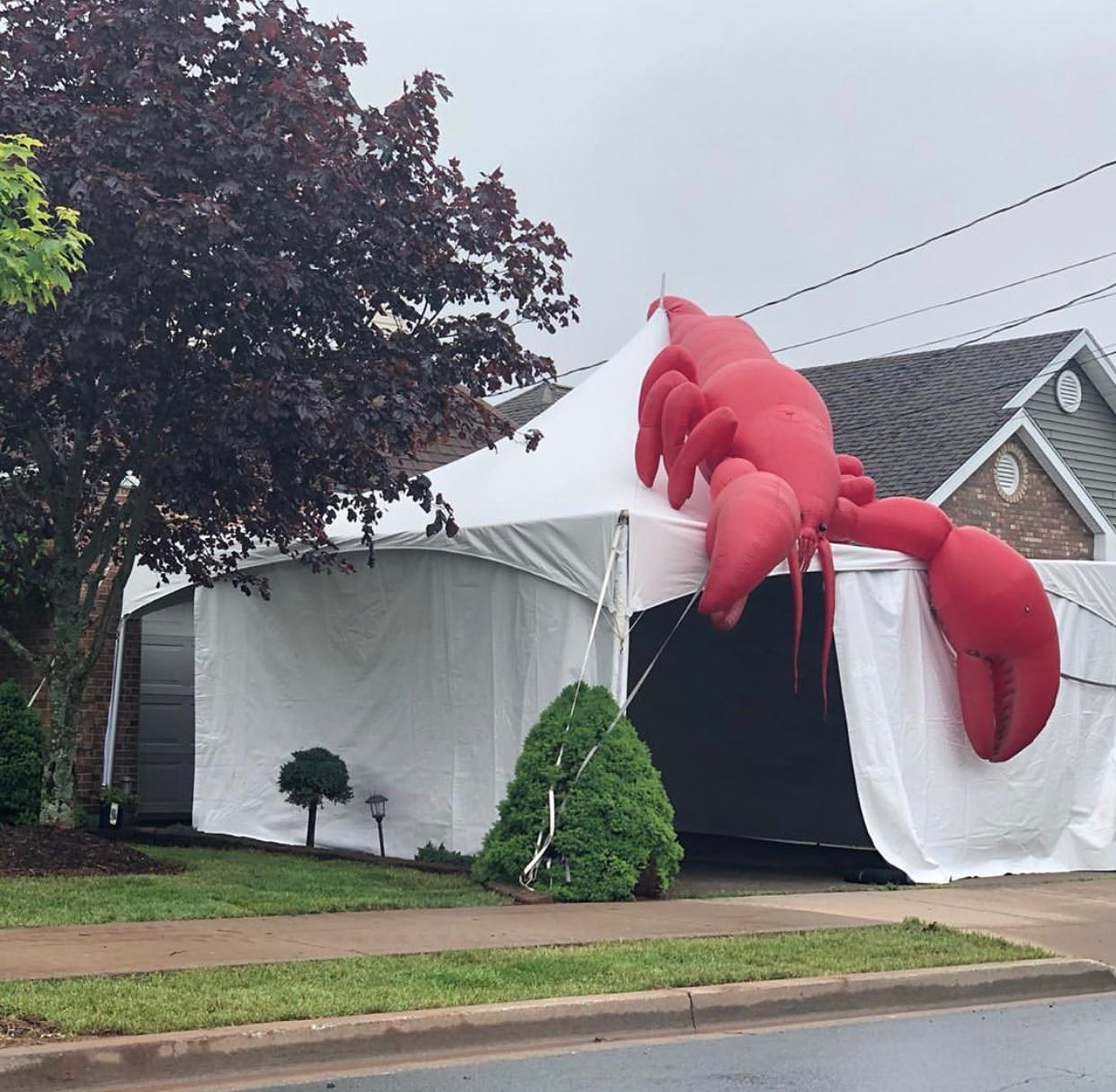 Giant Realistic Lobster Inflatable