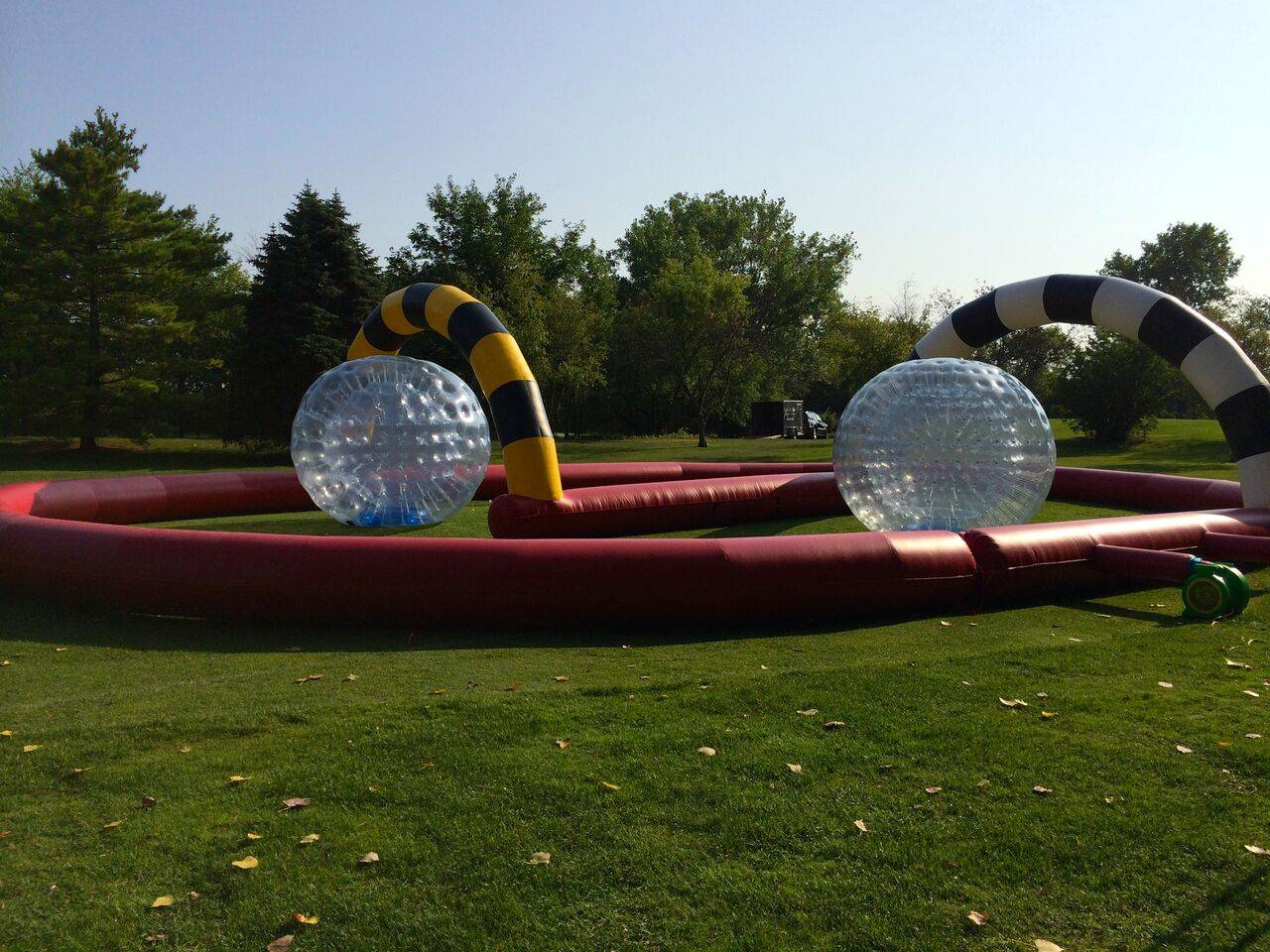 Hamster Ball Obstacle Race