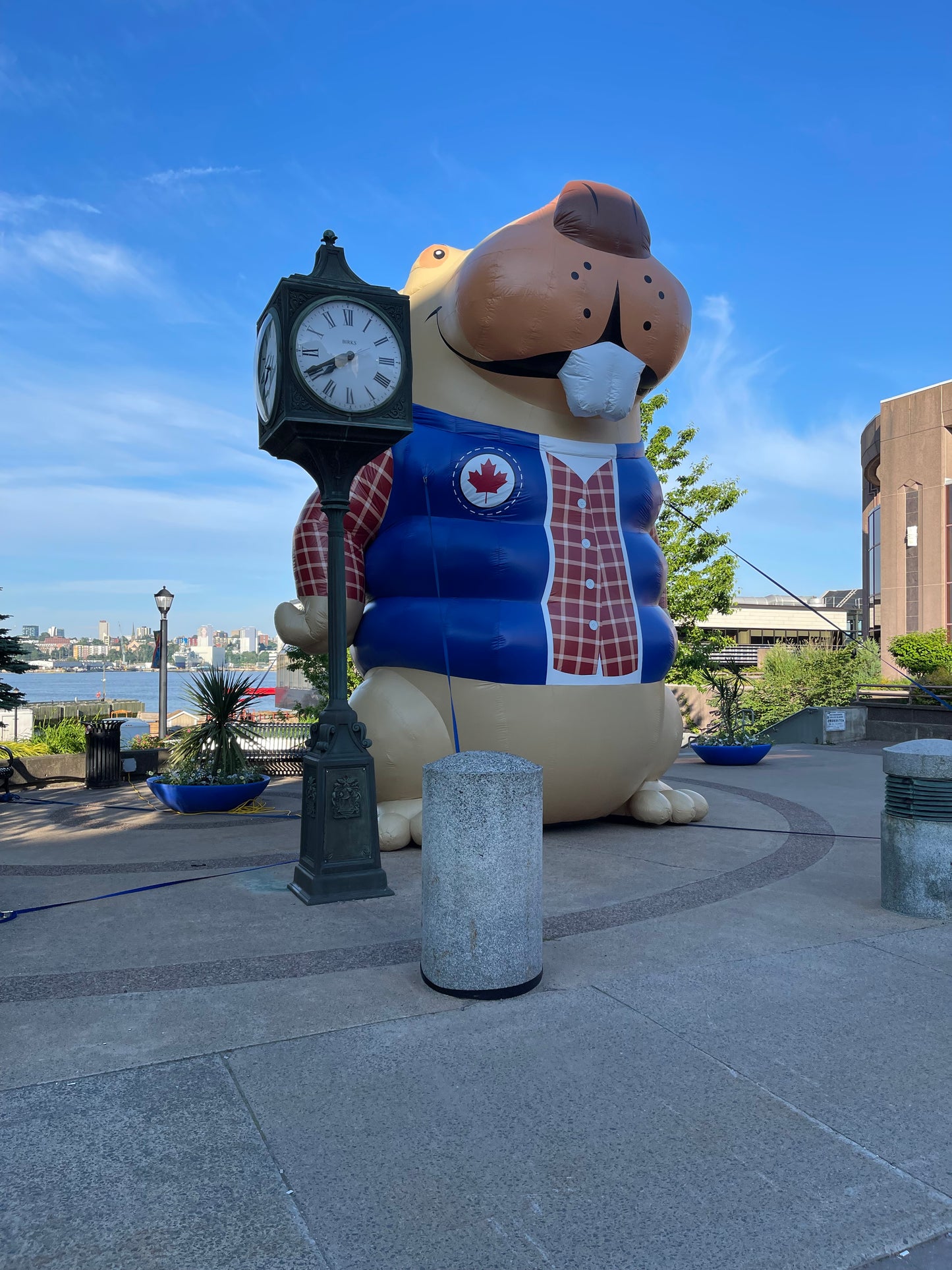 Cartoon Canadian Beaver Inflatable