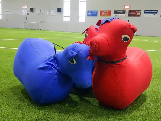 Bouncy Horse Race