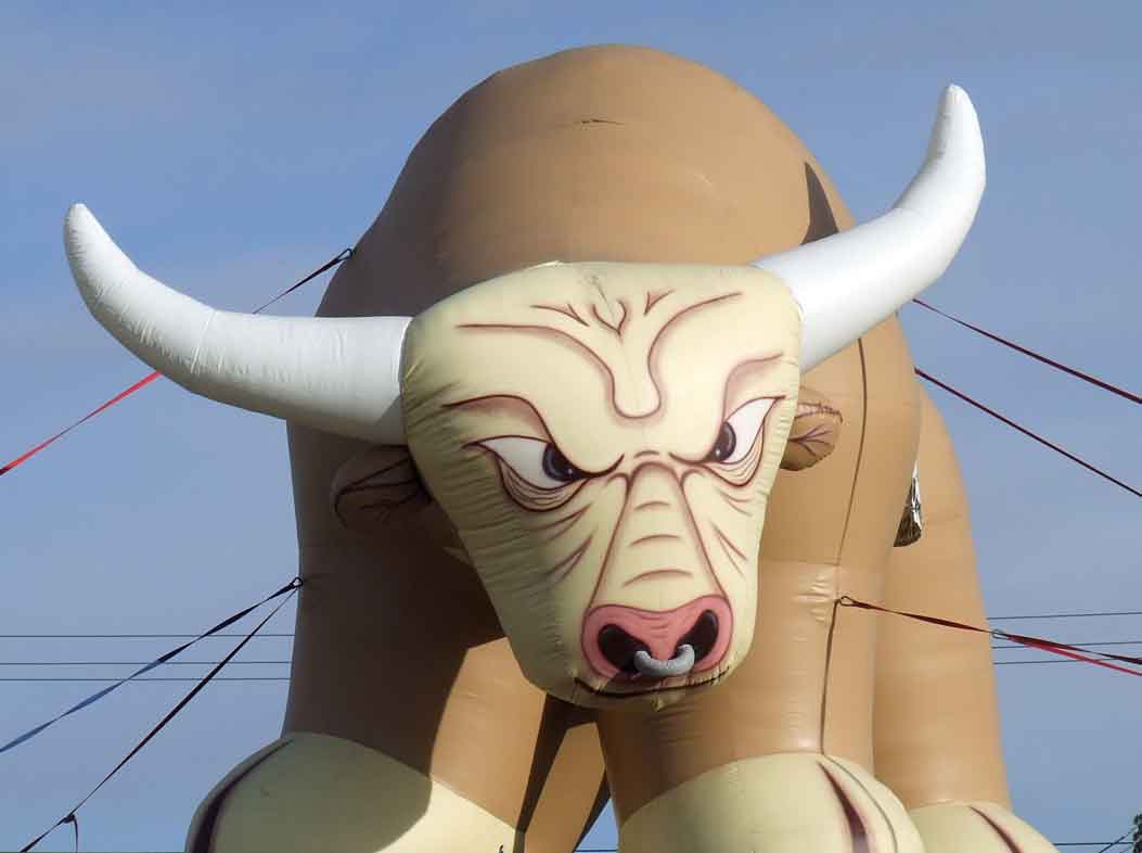 Cartoon Bull Inflatable