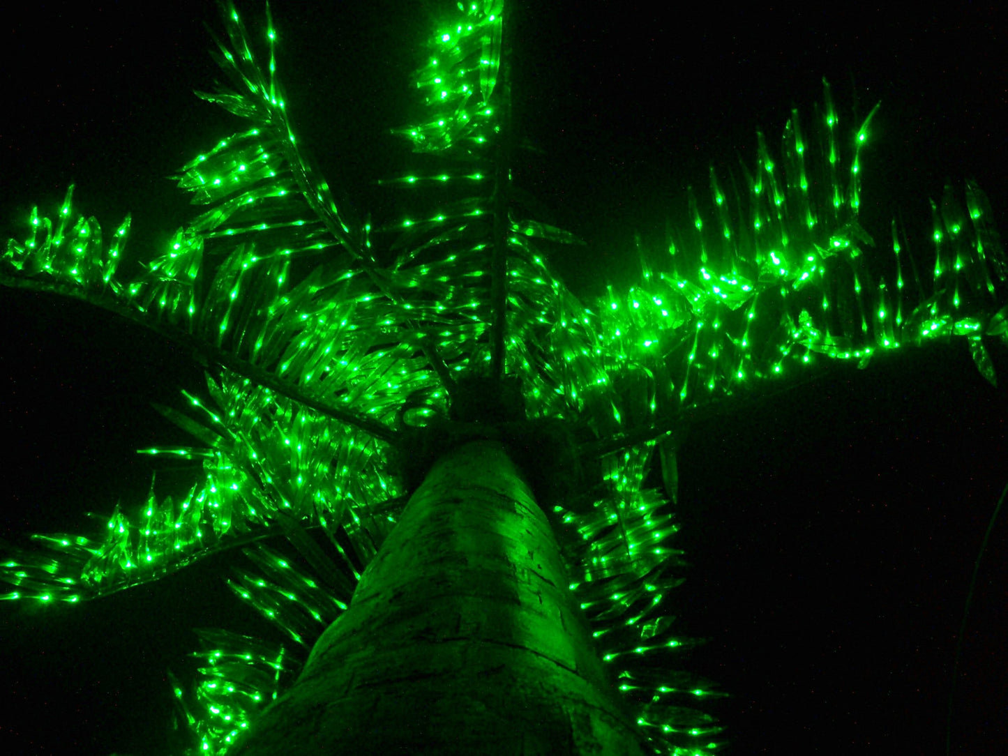 LED Trees