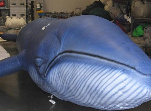 Realistic Blue Whale Inflatable