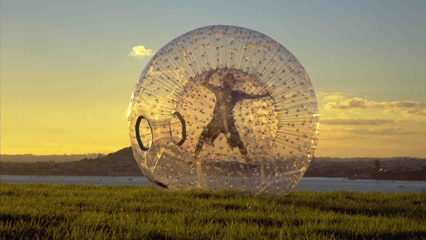 Hamster Ball Obstacle Race