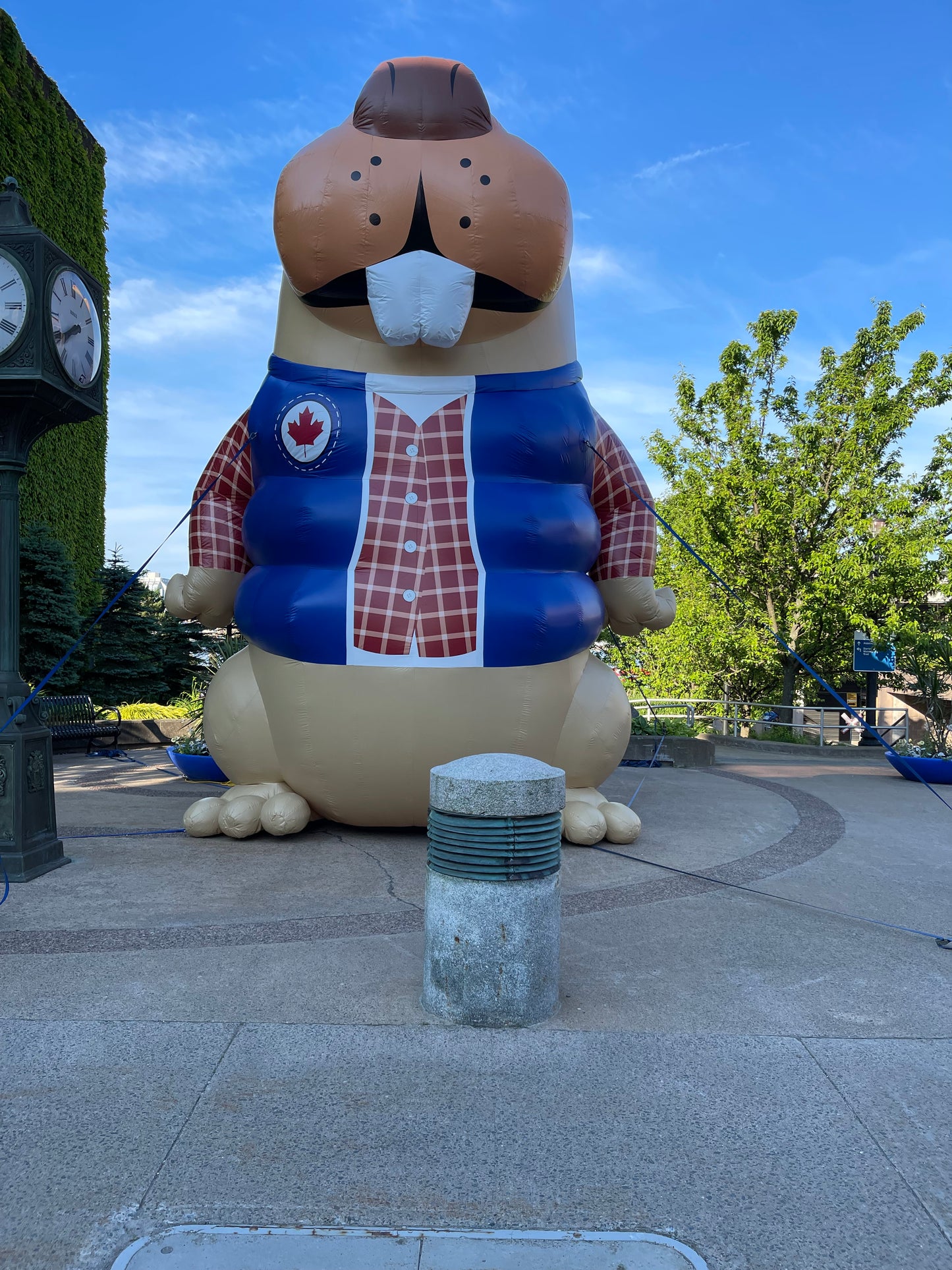 Cartoon Canadian Beaver Inflatable