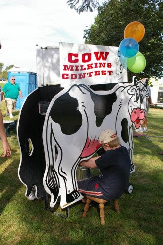 Cow Milking Contest Game